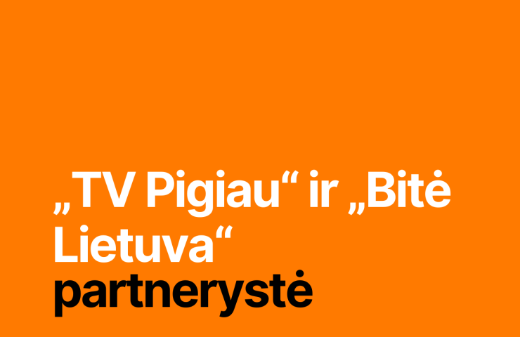 Bitė partnerystė